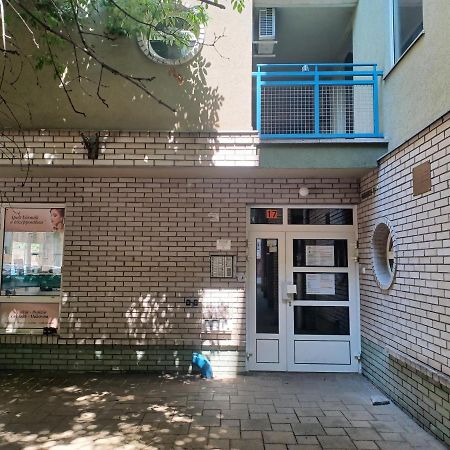 Liliom Apartment With Free Parking Space 布达佩斯 外观 照片