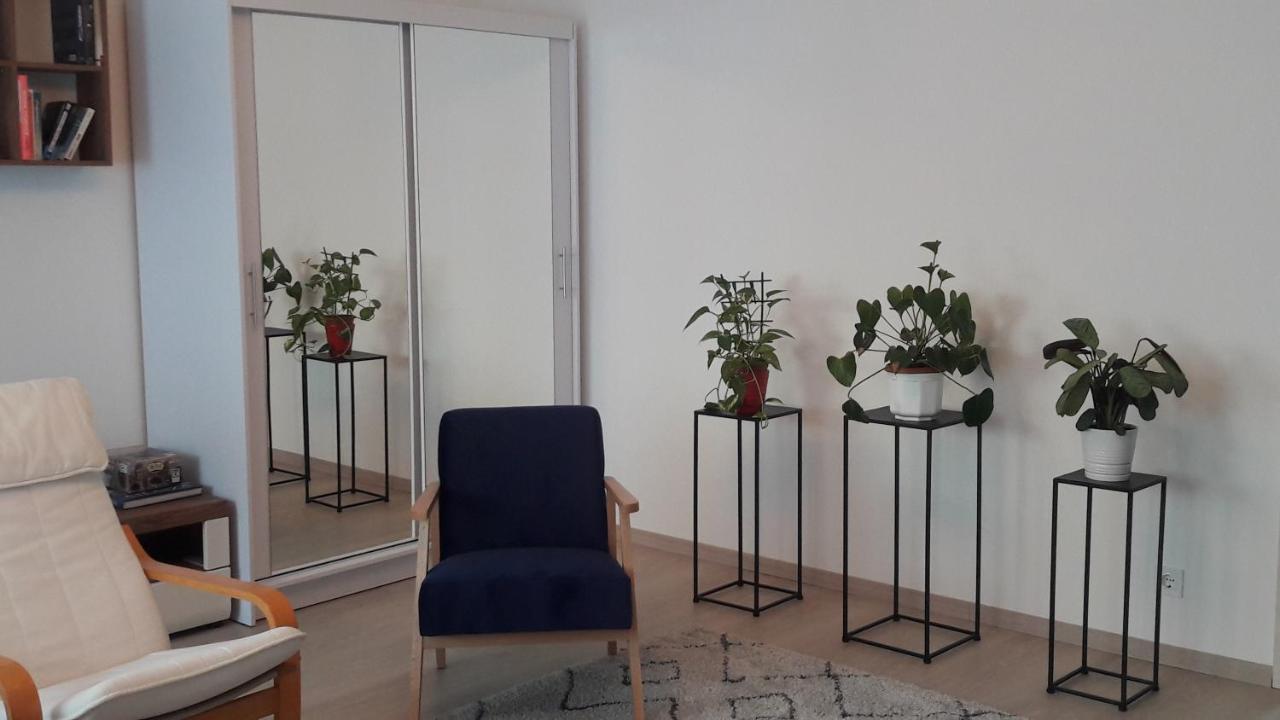 Liliom Apartment With Free Parking Space 布达佩斯 外观 照片